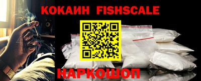 тгк Гай