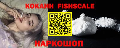 тгк Гай