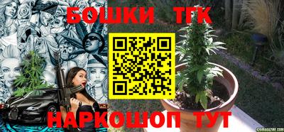 тгк Гай