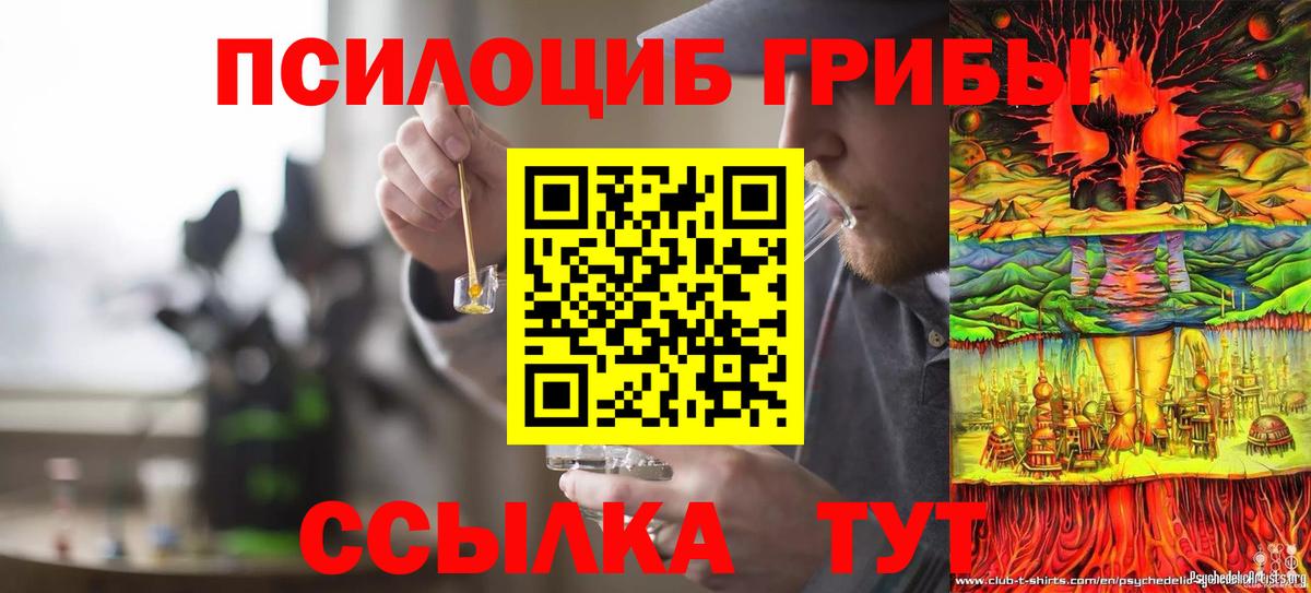 сколько стоит  Галлюциногенные грибы Cubensis  Вход с VPN  Иркутск  Галлюциногенные грибы Psilocybe 